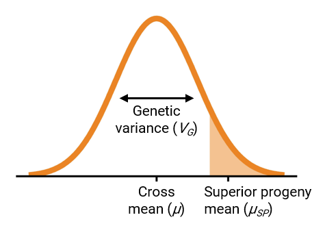 Figure 1. Visualization of the mean, genetic variance, and superior progeny mean of a single population.