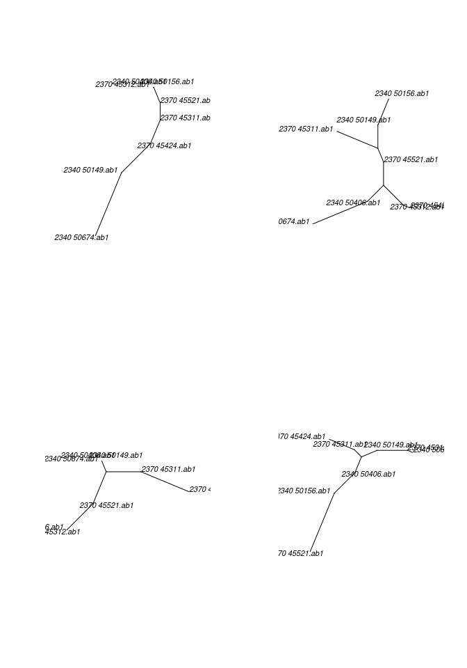 plot of chunk plotMultiPhylo